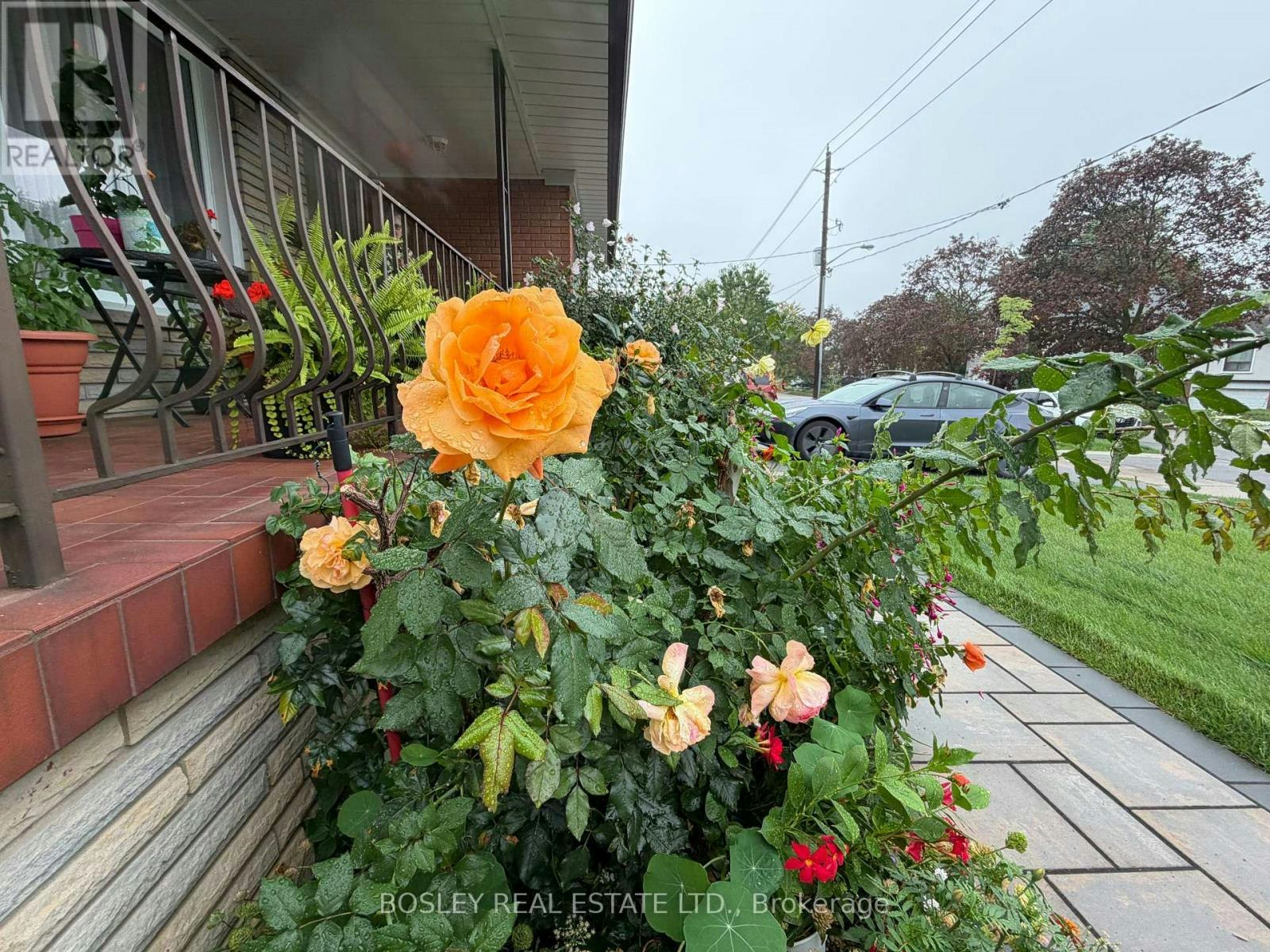 LOWER-63 Ernest Avenue, Toronto, ON, M2J 3T4 - 33