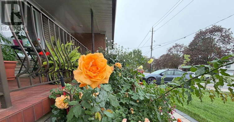 LOWER-63 Ernest Avenue, Toronto, ON, M2J 3T4 - 33