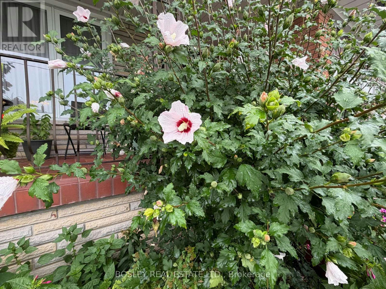 LOWER-63 Ernest Avenue, Toronto, ON, M2J 3T4 - 34
