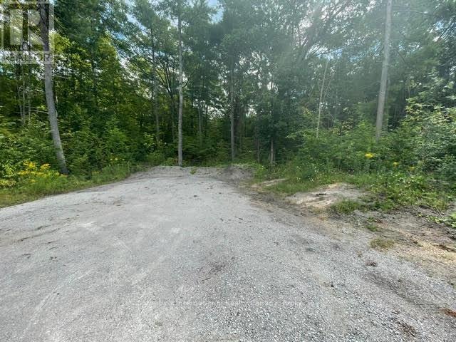 7859 Pineridge Road, Ramara, ON, L0K 2B0