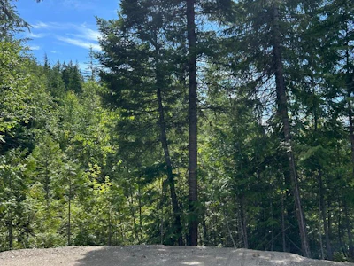 3560 Eagle Bay Road - 3