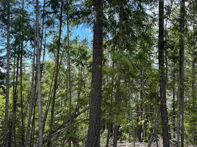 3560 Eagle Bay Road - 2
