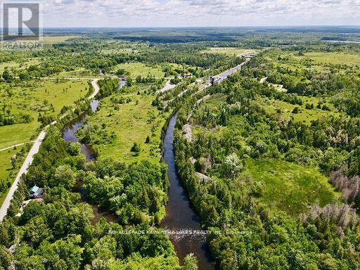81 Mcguire Beach Road, Kawartha Lakes, ON, K0M 2B0