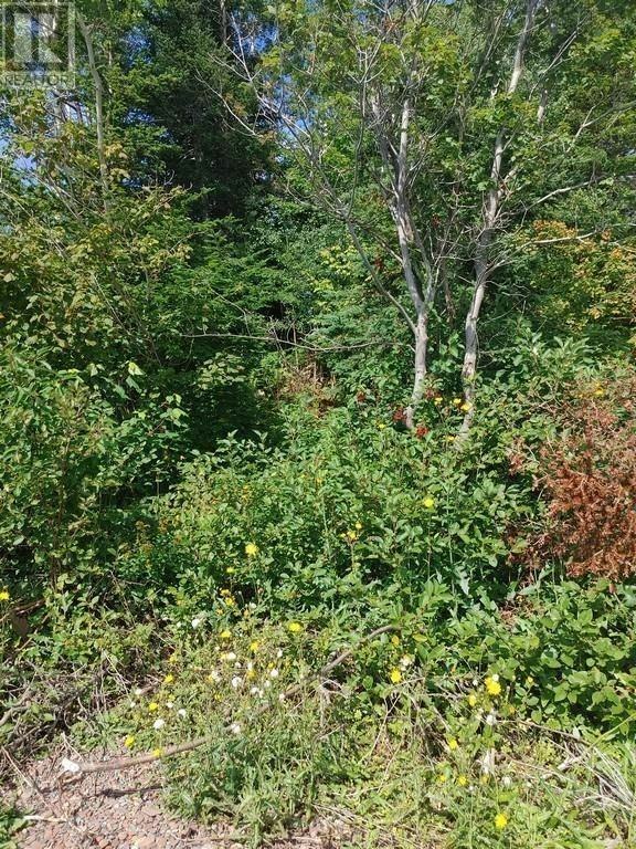 11 Point Leamington Highway, Point Leamington, NL, A0H 1E0