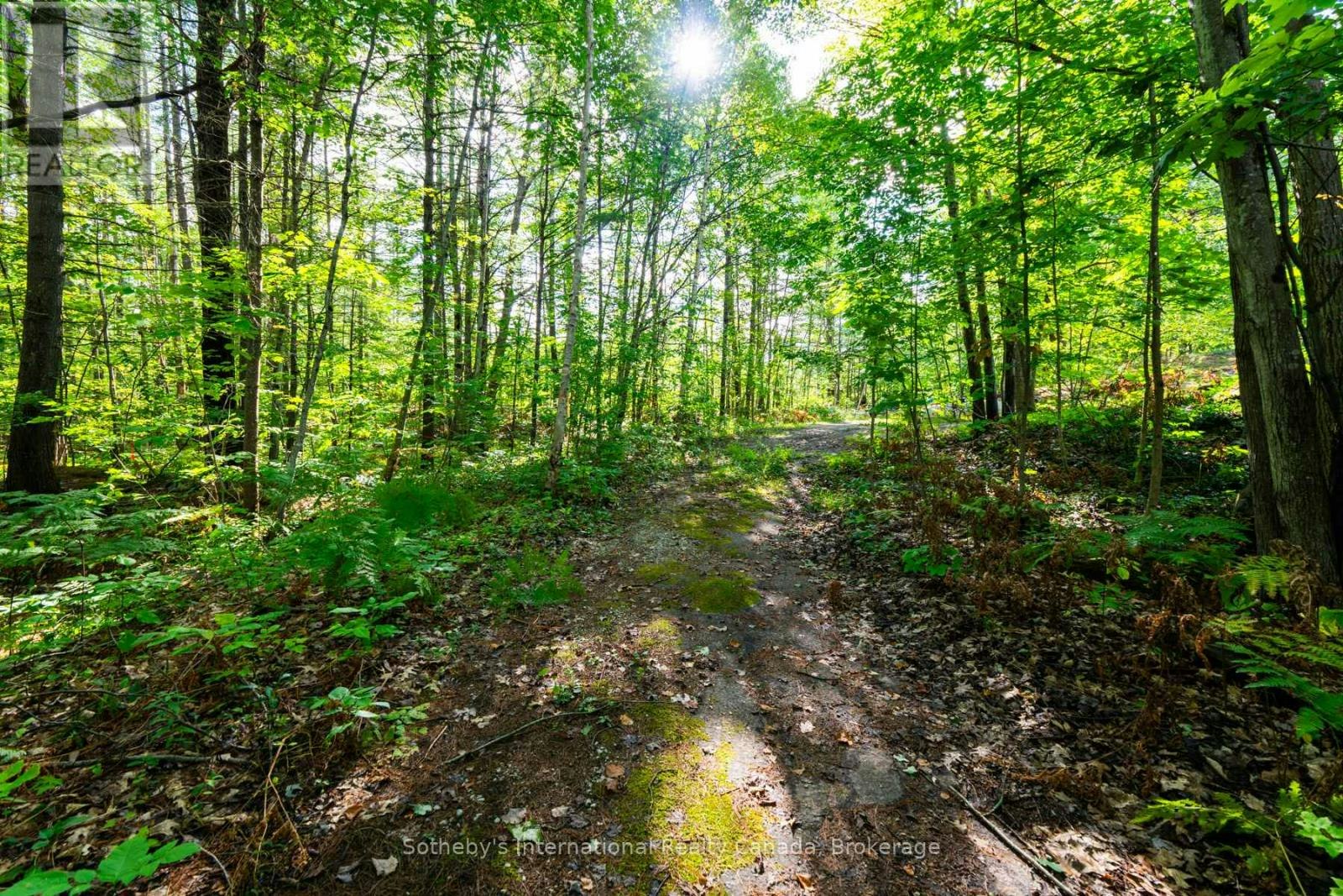 1060 Kahshe Lake Road NORTH, Gravenhurst, ON, P0E 1G0 - 42