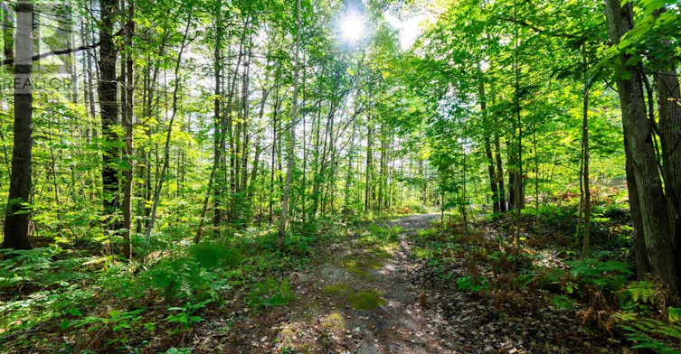 1060 Kahshe Lake Road NORTH, Gravenhurst, ON, P0E 1G0 - 42