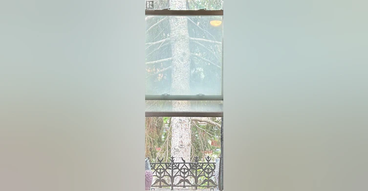 AA 2ND FLOOR-137 Denison Ave Avenue, Toronto, ON, M5T 2N2 - 8
