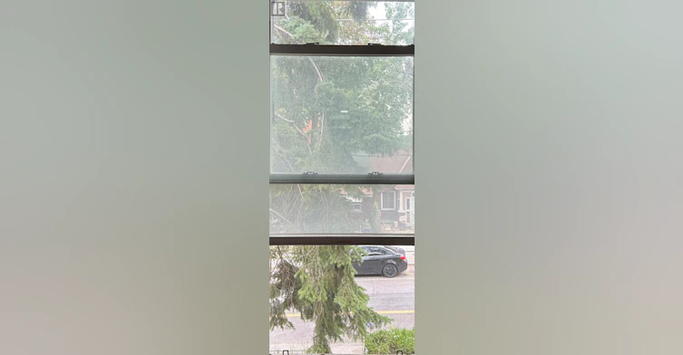 AA 2ND FLOOR-137 Denison Ave Avenue, Toronto, ON, M5T 2N2 - 9