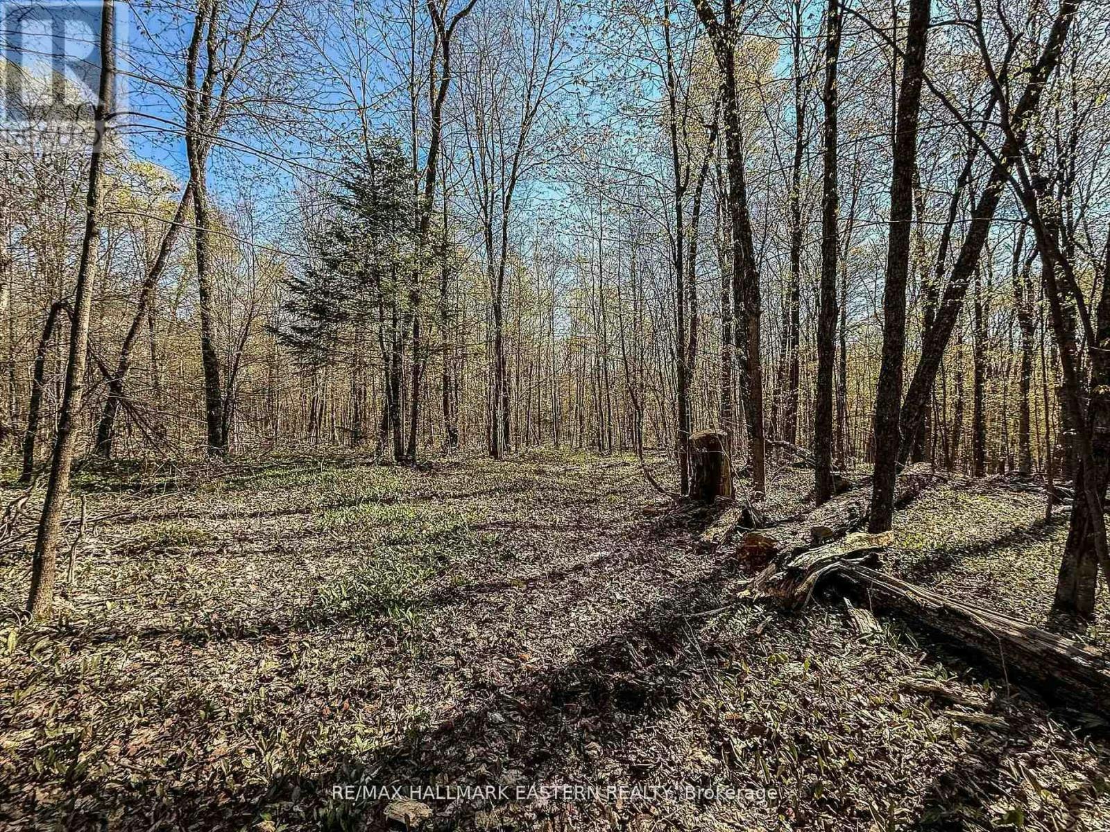2494 Hadlington Road, Highlands East, ON, K0L 3K0