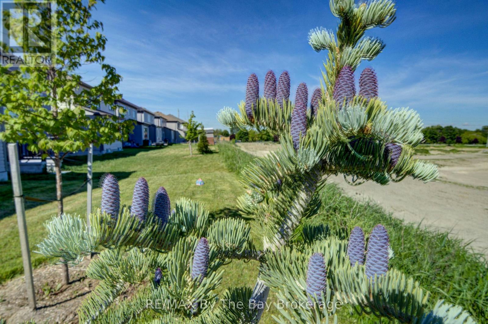 15 Union Boulevard, Wasaga Beach, ON, L9Z 0M6 - 40