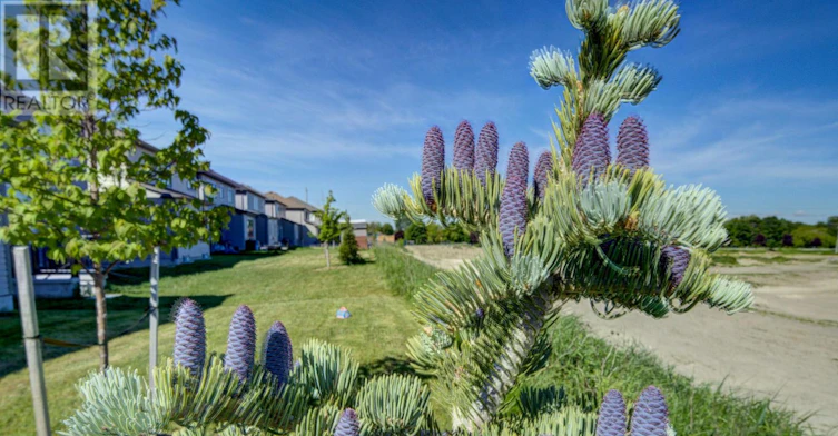 15 Union Boulevard, Wasaga Beach, ON, L9Z 0M6 - 40