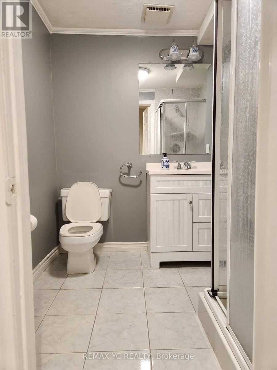LOWER-4 Theobalds Circle, Richmond Hill, ON, L4C 9E3 - 17