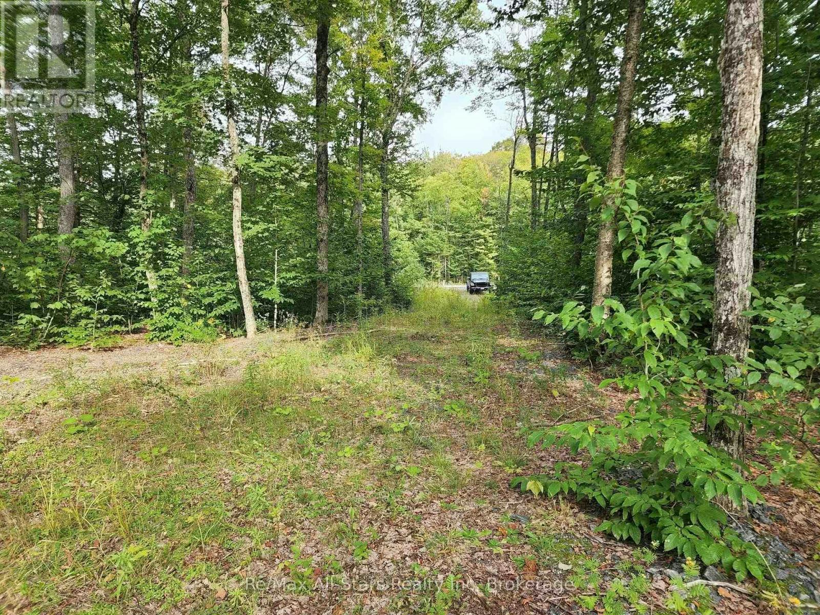 3480 Brunel Road, Lake of Bays, ON, P1H 2J3