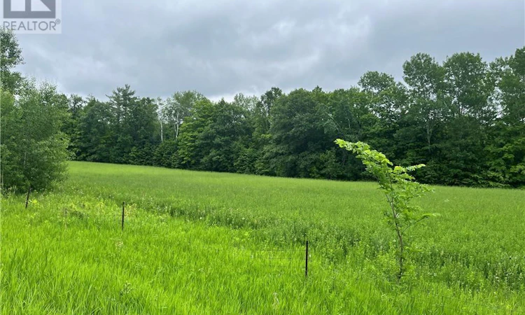 0 Grant Settlement Road