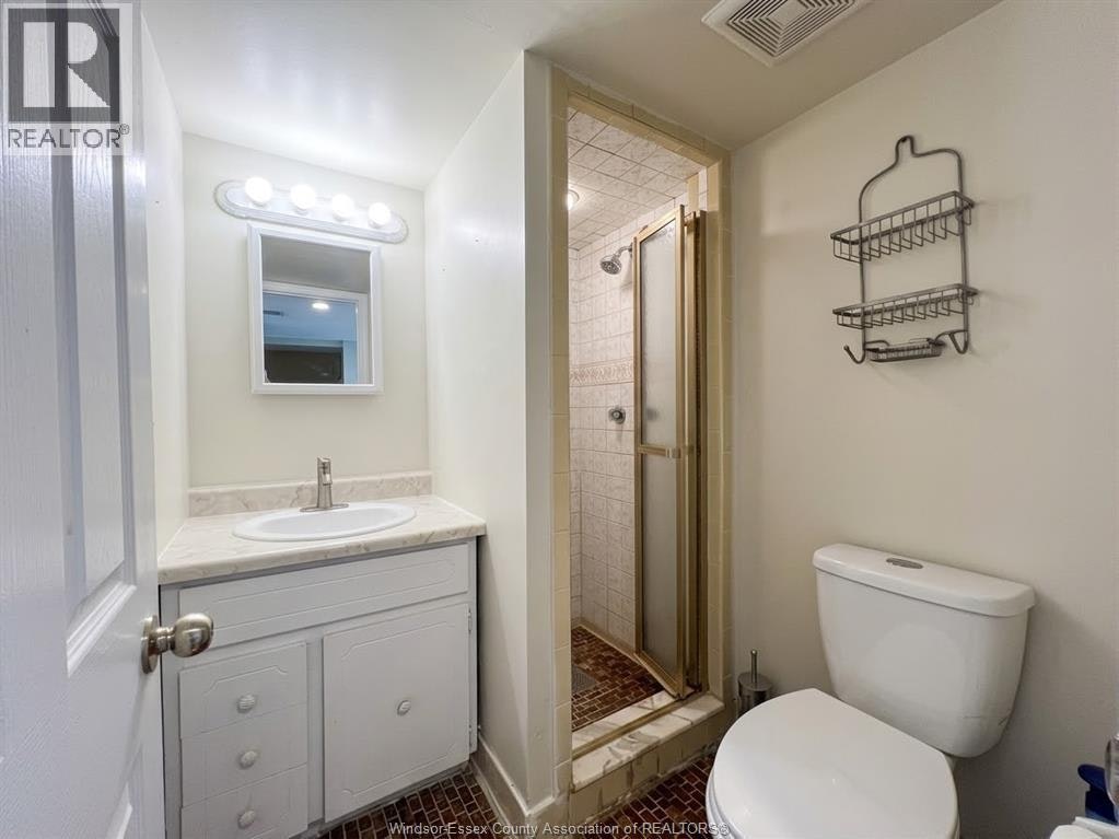 BASEMENT-1669 Cherrylawn, Windsor, ON, N9E 1P6 - 16