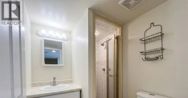 BASEMENT-1669 Cherrylawn, Windsor, ON, N9E 1P6 - 16