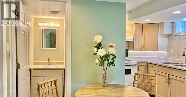BASEMENT-1669 Cherrylawn, Windsor, ON, N9E 1P6 - 10