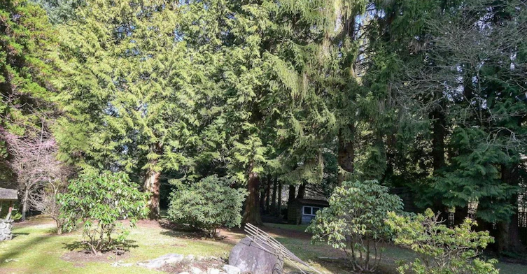 Hiouse-12687 23 Avenue, Surrey, BC, V4A 2C6 - 19
