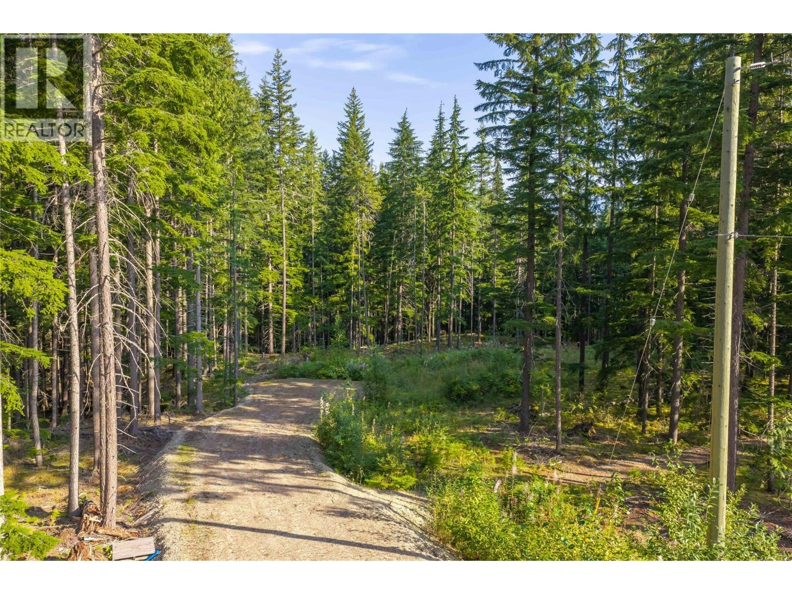 8044-23 South Highway, Revelstoke, BC, V0E 2S0