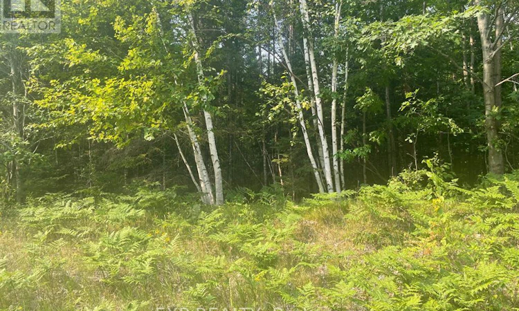1571 Schutt Road