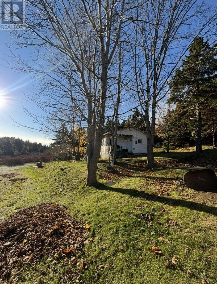 23 Shea's Lane, Brigus, NL, A0A 1K0