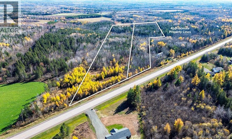 Lot Homestead Road