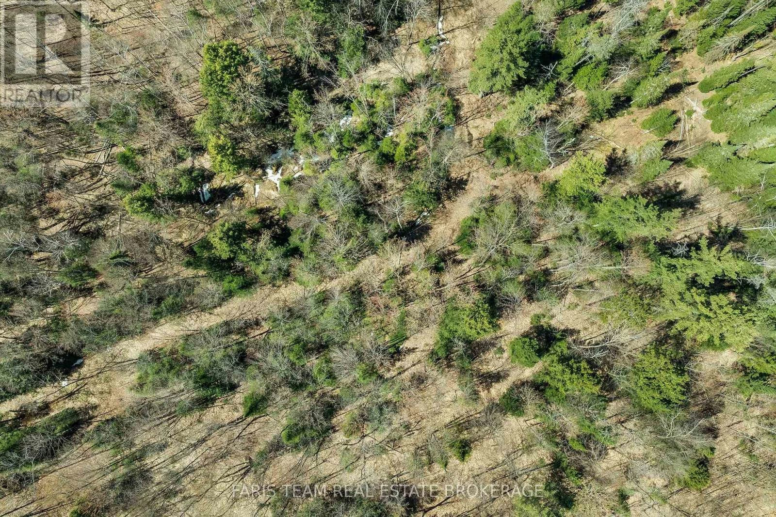 2180-2186 141 Highway, Muskoka Lakes, ON, P0B 1L0 - 19