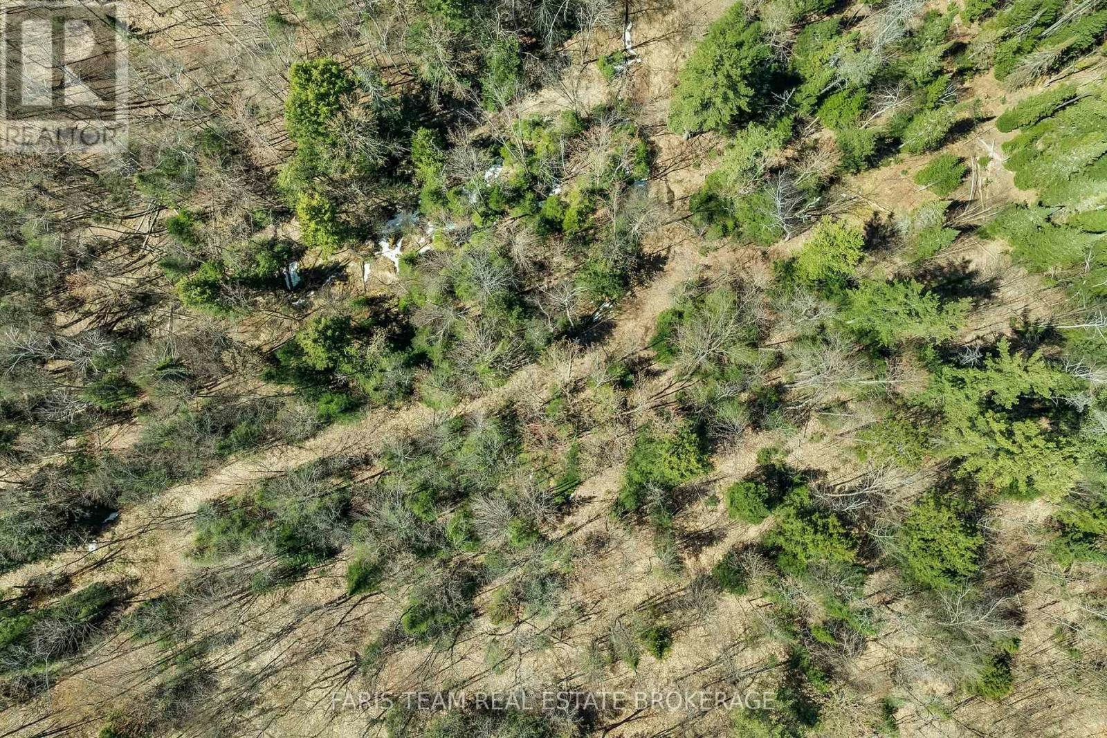2180-2186 141 Highway, Muskoka Lakes, ON, P0B 1L0 - 19