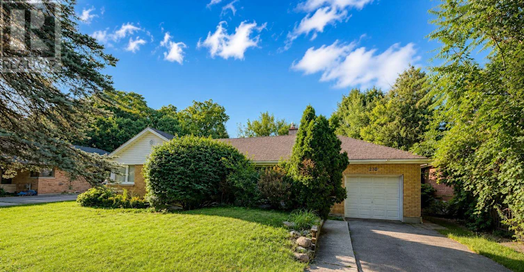 LOWER-230 University Crescent, London, ON, N6A 2L5 - 2