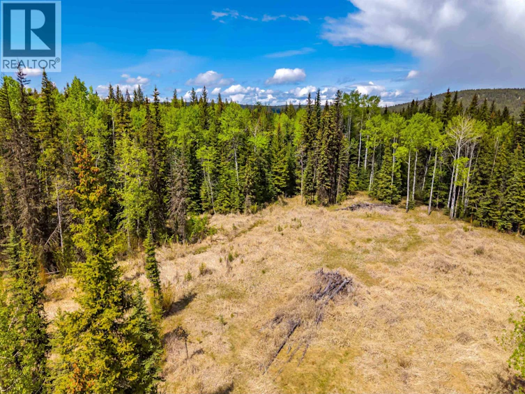 LOT-11 Pegasus Road, Horse Lake, BC, V0K 2E3 - 11