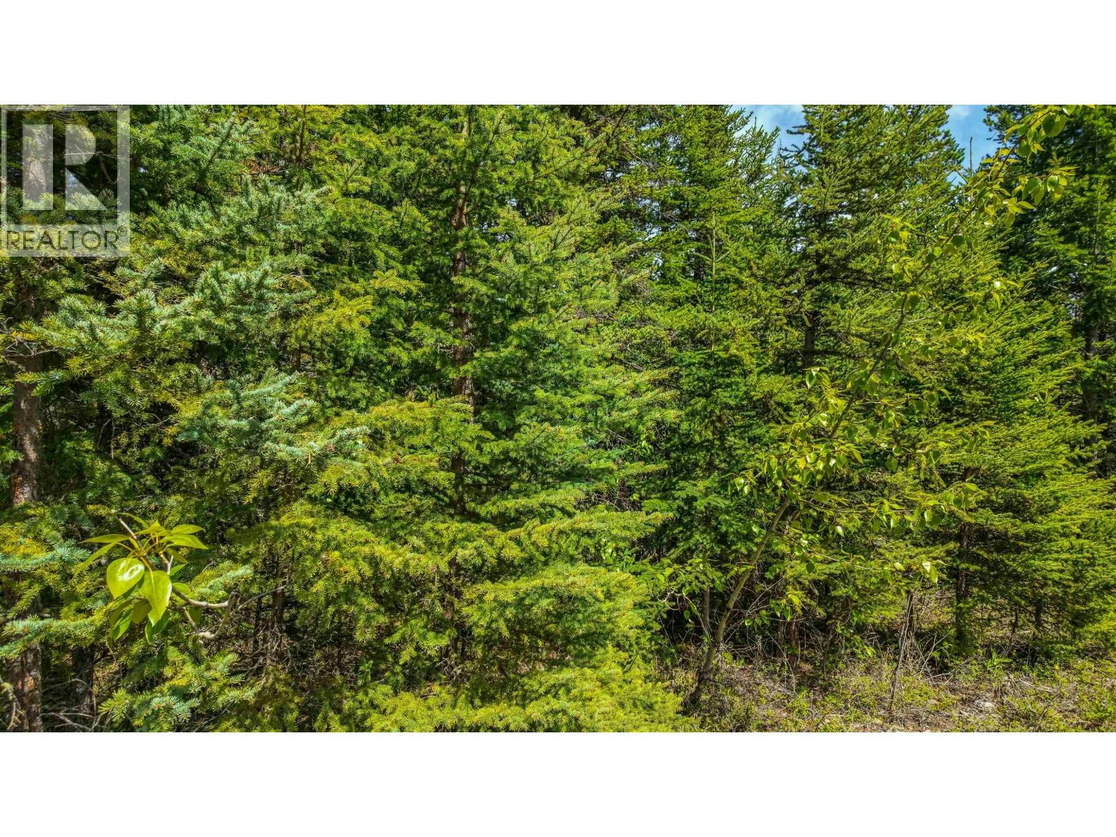 LOT-11 Pegasus Road, Horse Lake, BC, V0K 2E3 - 12