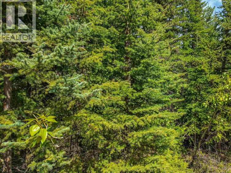 LOT-11 Pegasus Road, Horse Lake, BC, V0K 2E3 - 12