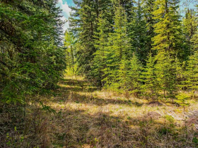 LOT-11 Pegasus Road - 2