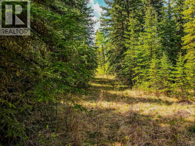 LOT-11 Pegasus Road, Horse Lake, BC, V0K 2E3 - 2
