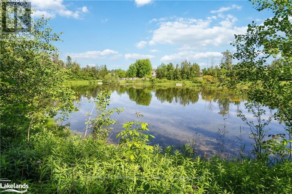 6 Mckean Crescent, Collingwood, ON, L9Y 0C1 - 48