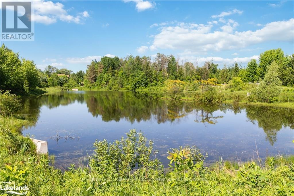 6 Mckean Crescent, Collingwood, ON, L9Y 0C1 - 46