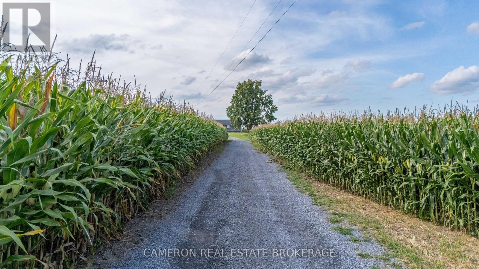 18163 Branch Road NORTH, South Glengarry, ON, K0C 1S0 - 6