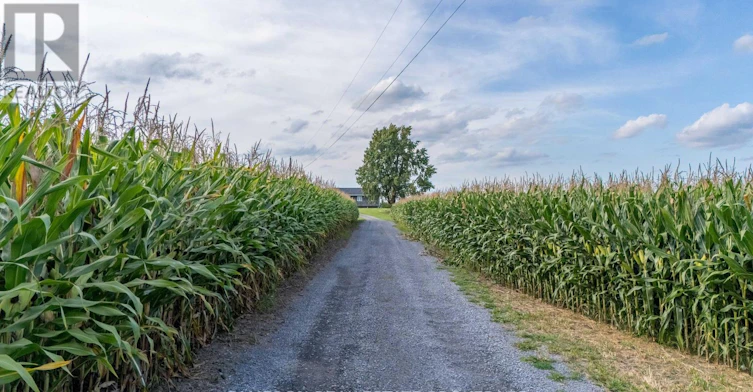 18163 Branch Road NORTH, South Glengarry, ON, K0C 1S0 - 6