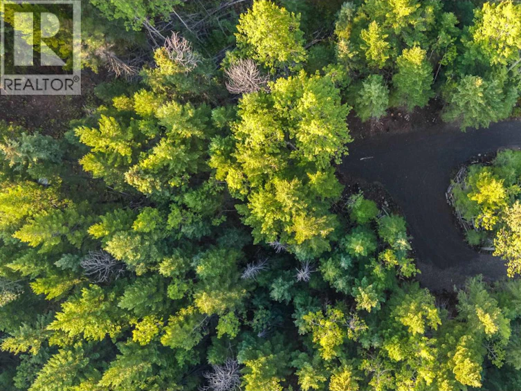 LOT-180 Paterson Road, Deka Lake, BC, V0K 1X3 - 12