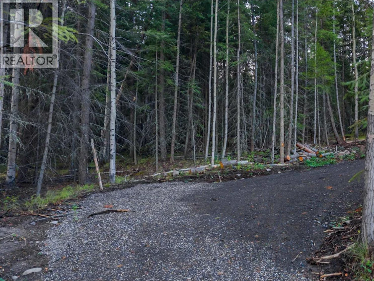 LOT-180 Paterson Road, Deka Lake, BC, V0K 1X3 - 3