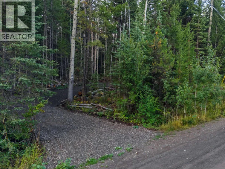 LOT-180 Paterson Road, Deka Lake, BC, V0K 1X3 - 5