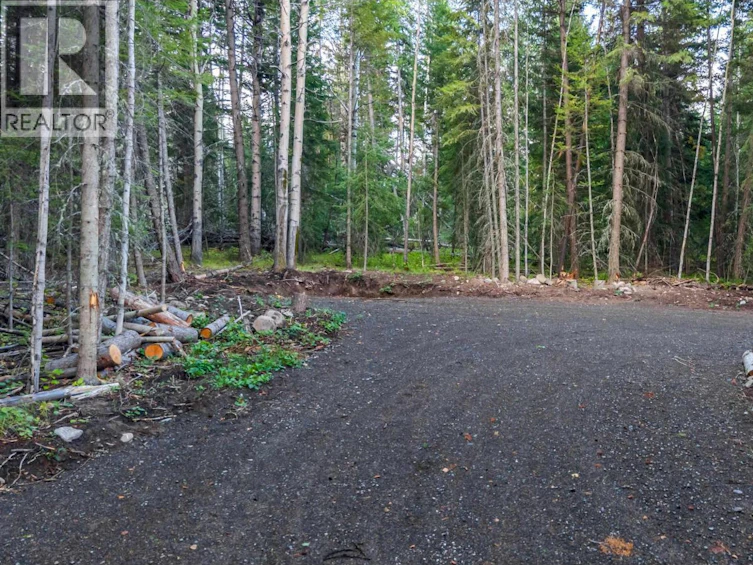 LOT-180 Paterson Road, Deka Lake, BC, V0K 1X3 - 2