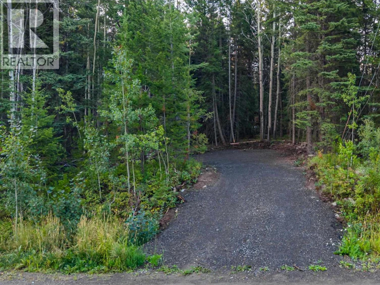 LOT-180 Paterson Road, Deka Lake, BC, V0K 1X3 - 7