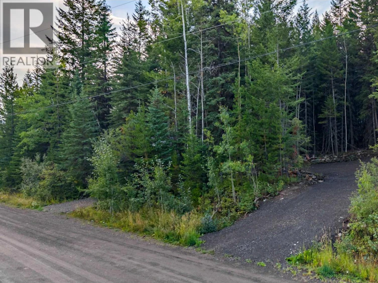 LOT-180 Paterson Road, Deka Lake, BC, V0K 1X3 - 8