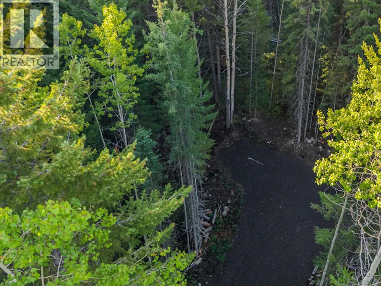 LOT-180 Paterson Road, Deka Lake, BC, V0K 1X3 - 9