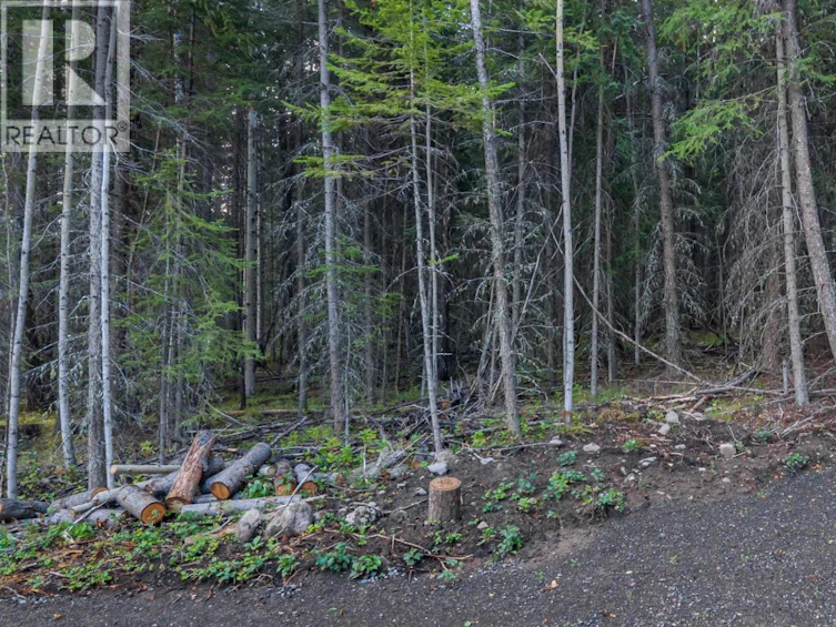 LOT-180 Paterson Road, Deka Lake, BC, V0K 1X3 - 6