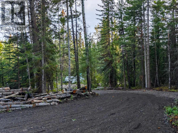 LOT-180 Paterson Road, Deka Lake, BC, V0K 1X3 - 4