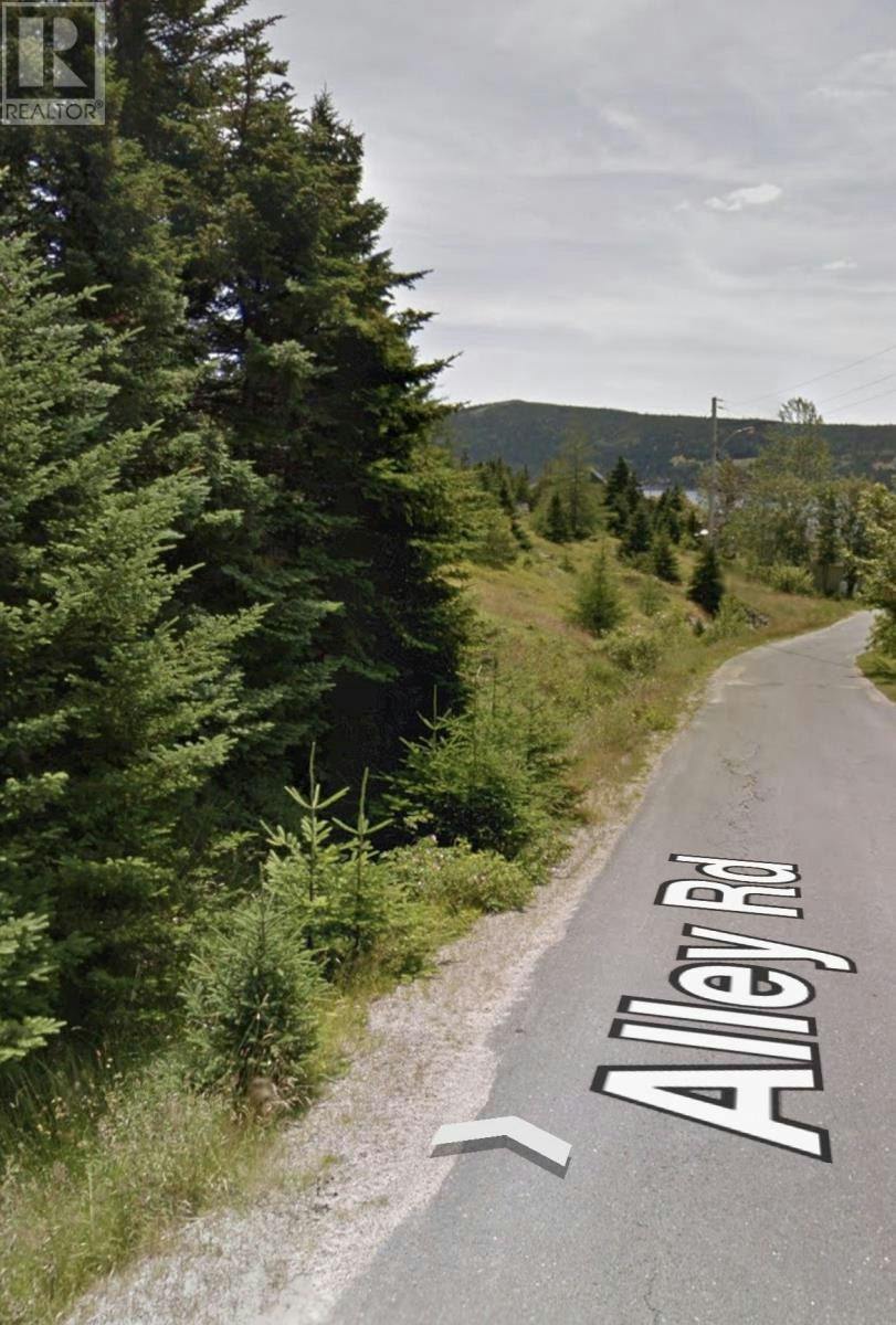 36-50 Alley Road, Bay Bulls, NL, A0A 1C4