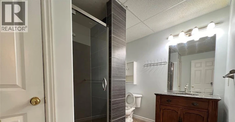 LOWER-709 Havens Drive, Windsor, ON, N9G 2S5 - 9