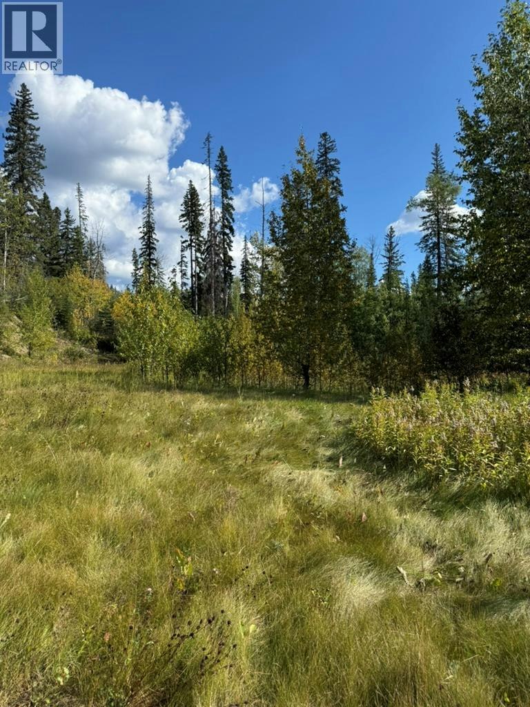 111 Kinuseo Avenue, Tumbler Ridge, BC, V0C 2W0